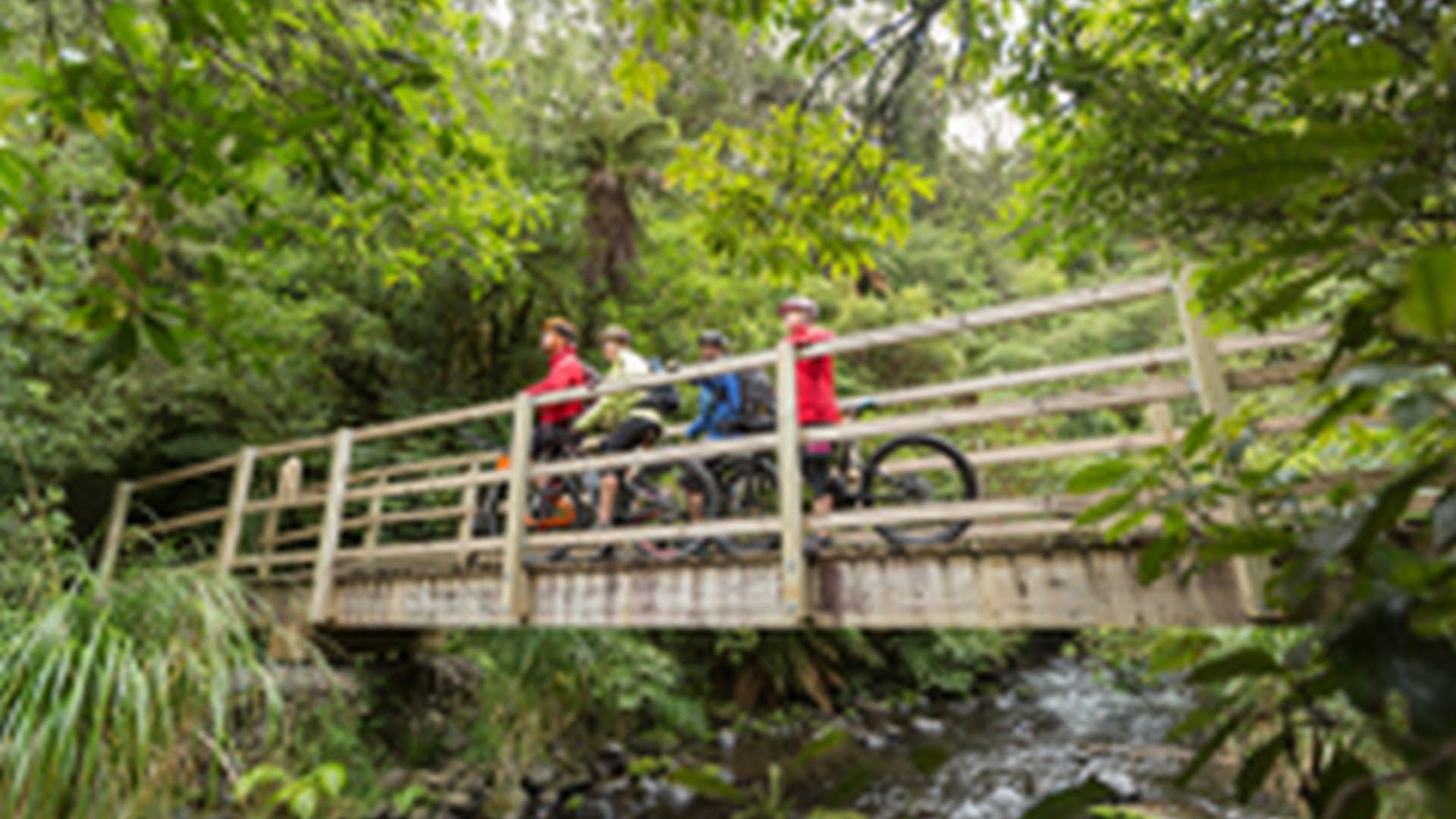 Cycling & Mountain Biking Ohakune Old Coach Road